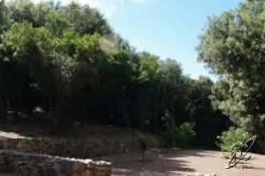 Agriturismo Il Termine *