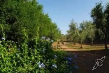 Agriturismo Il Termine Hotel *