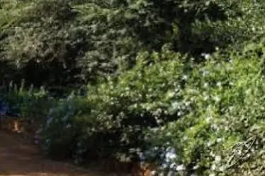 Agriturismo Il Termine *